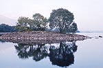 loch-awe-V-s.jpg - 4867 Bytes